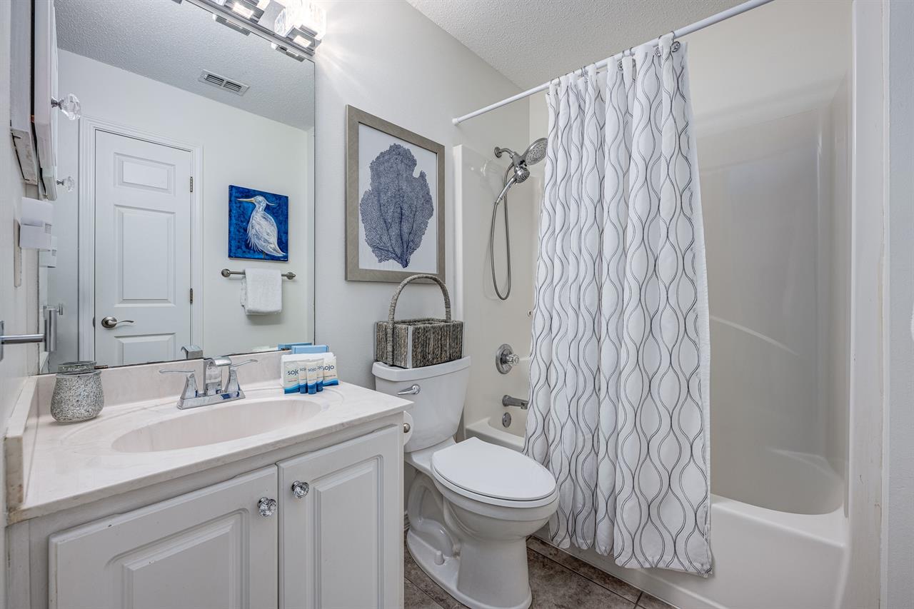 Guest bathroom 1