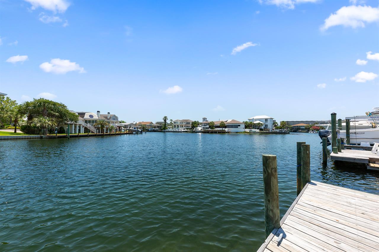 Dont be surprised if you see dolphins playing in the canal