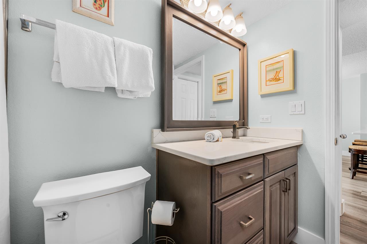 Guest bathroom 1