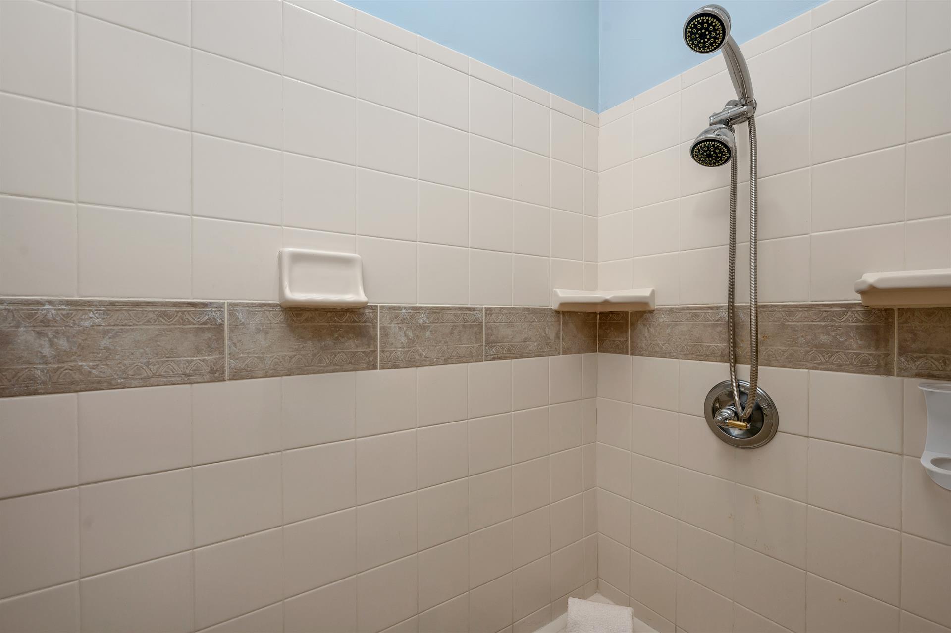 Master bathroom shower