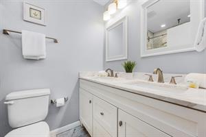 Guest bathroom