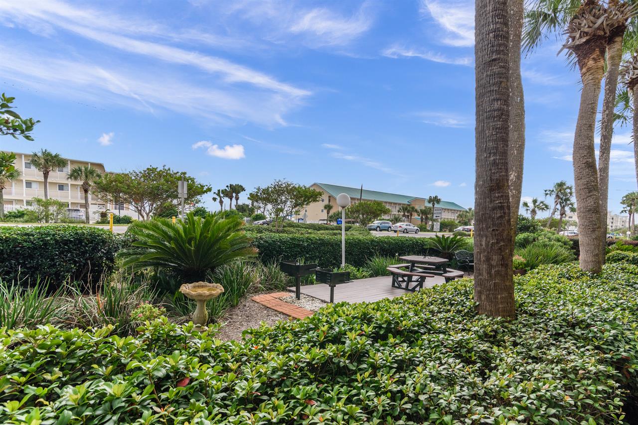 Patio view