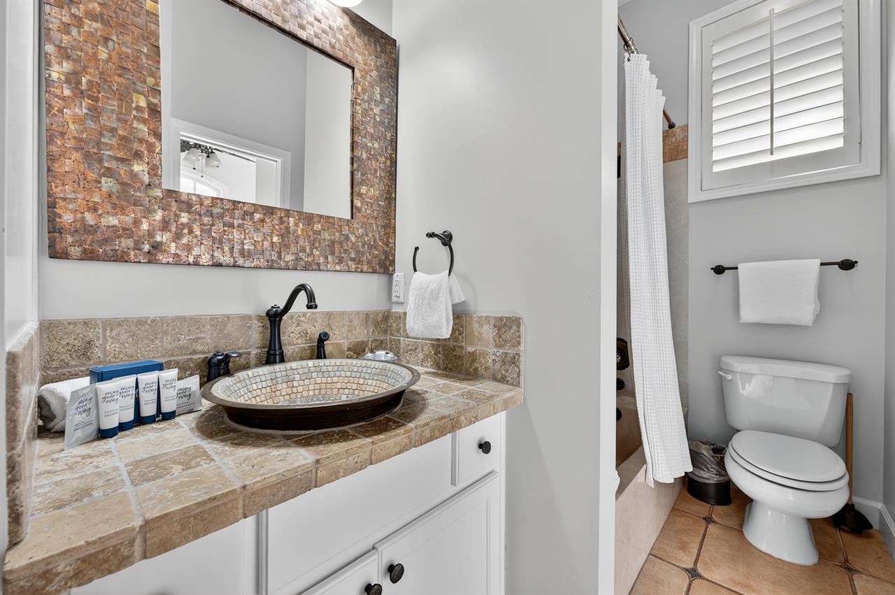 Guest bathroom 1