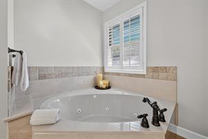 Master bathroom soaking tub