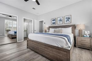 Downstairs master bedroom