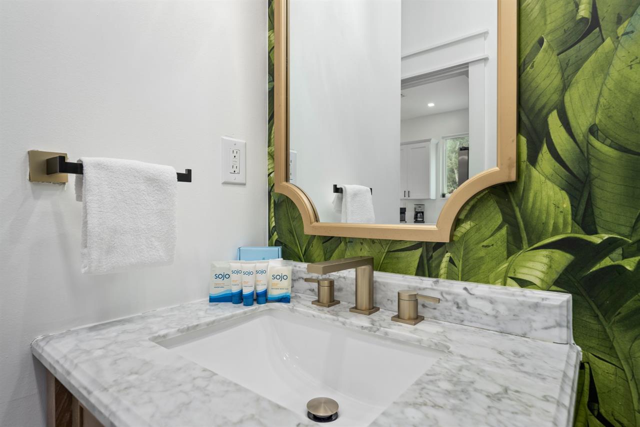 Guest bathroom 1st floor