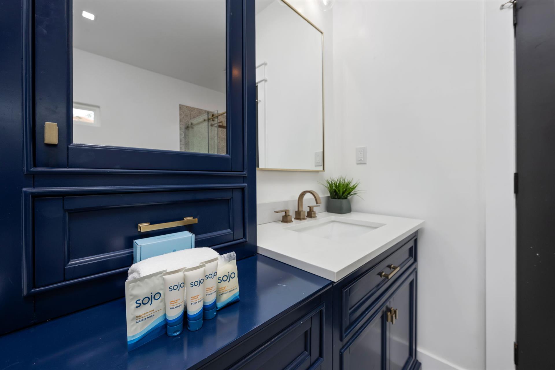 Master bathroom 1 2nd floor