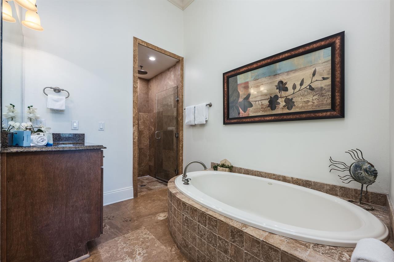 Master bathroom 1 main level