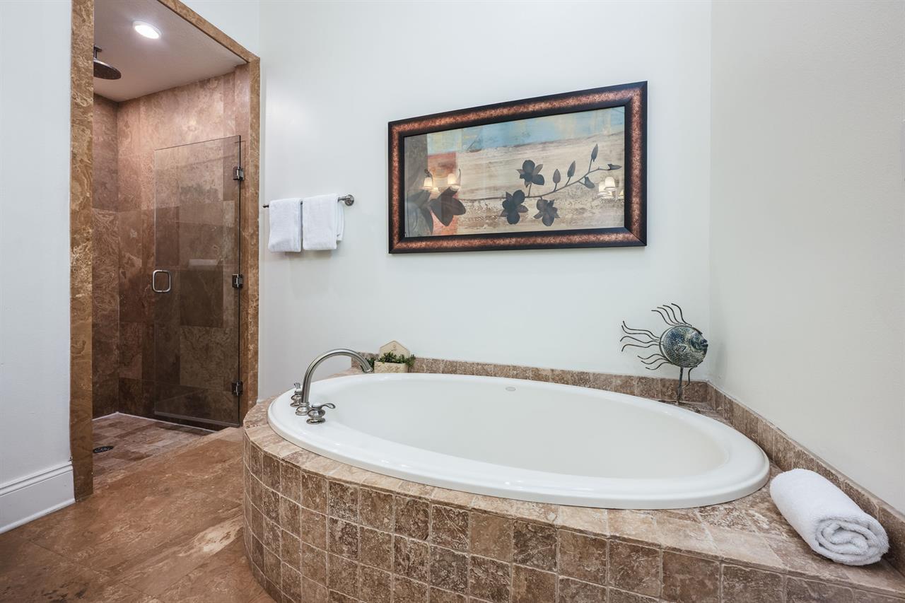 Master bathroom 1 main level