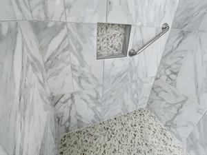 Downstairs Guest shower