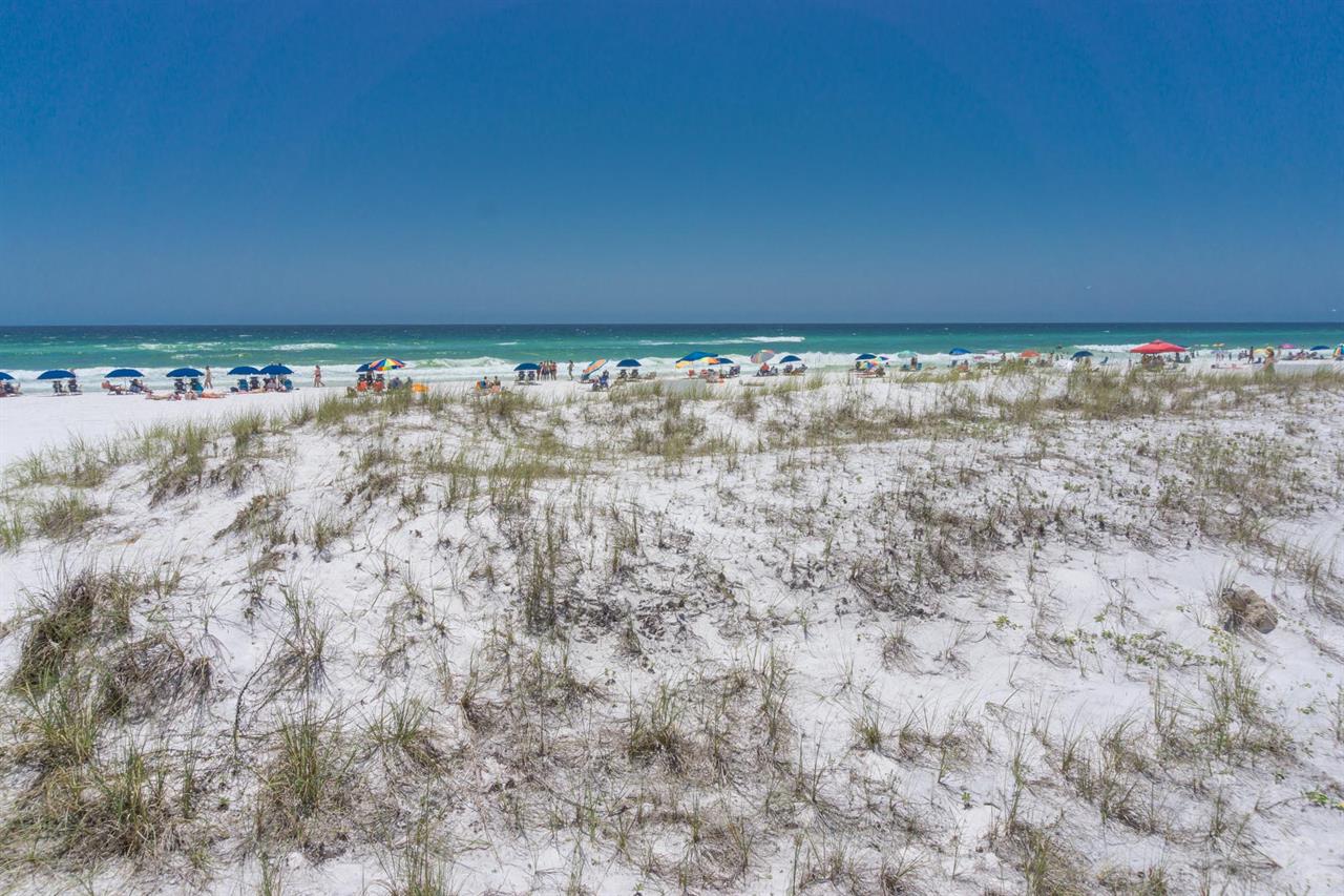 Beach view