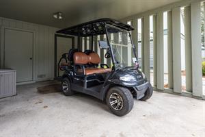 Golf cart