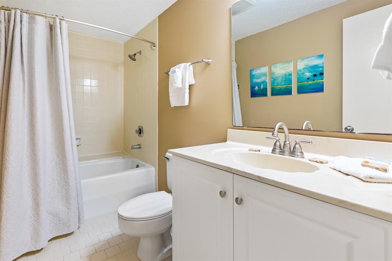 Guest bathroom 1