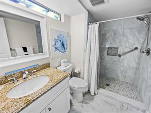 Downstairs Guest bathroom