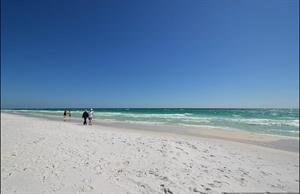 Sea Peach Beach Scene