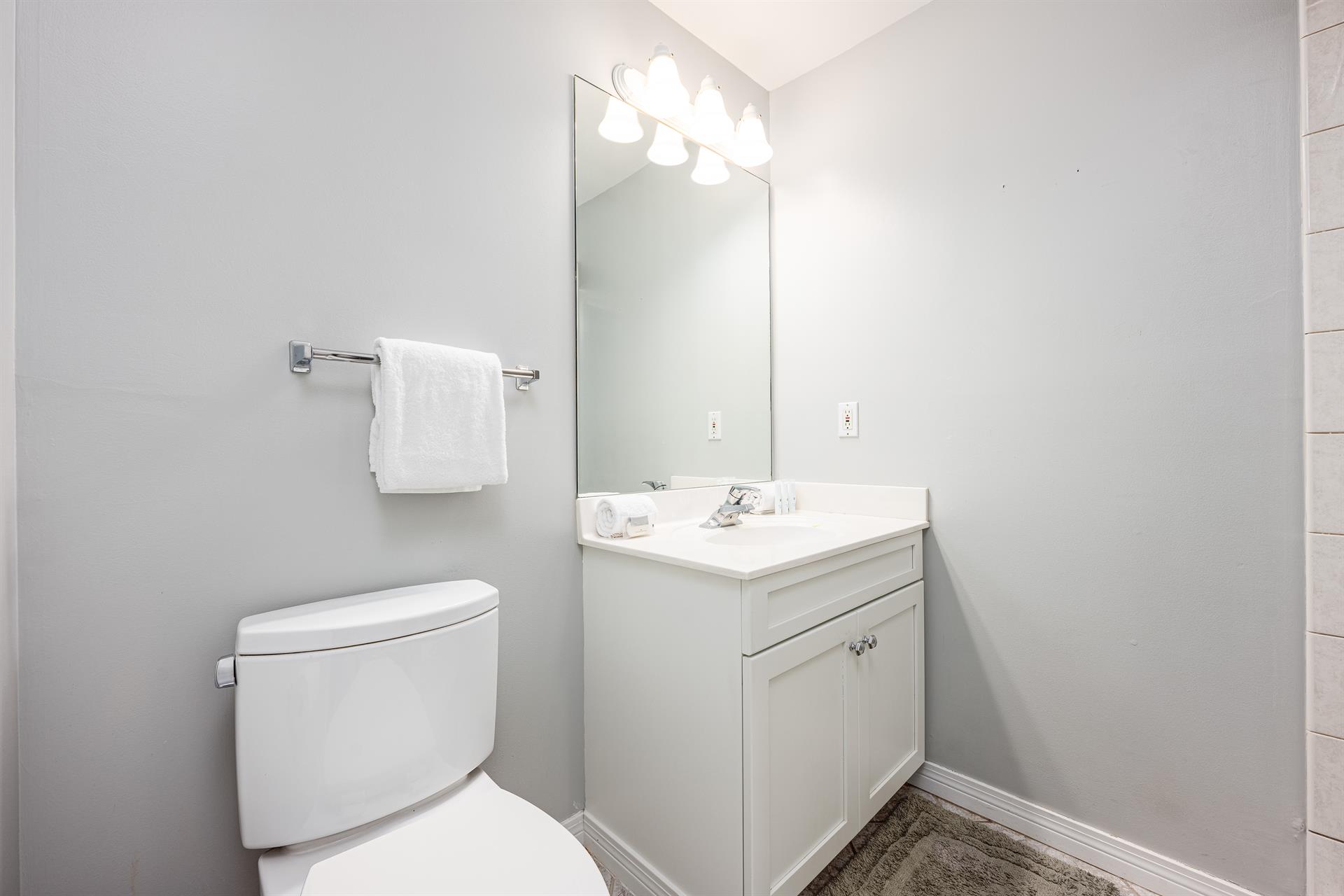 Guest Bath