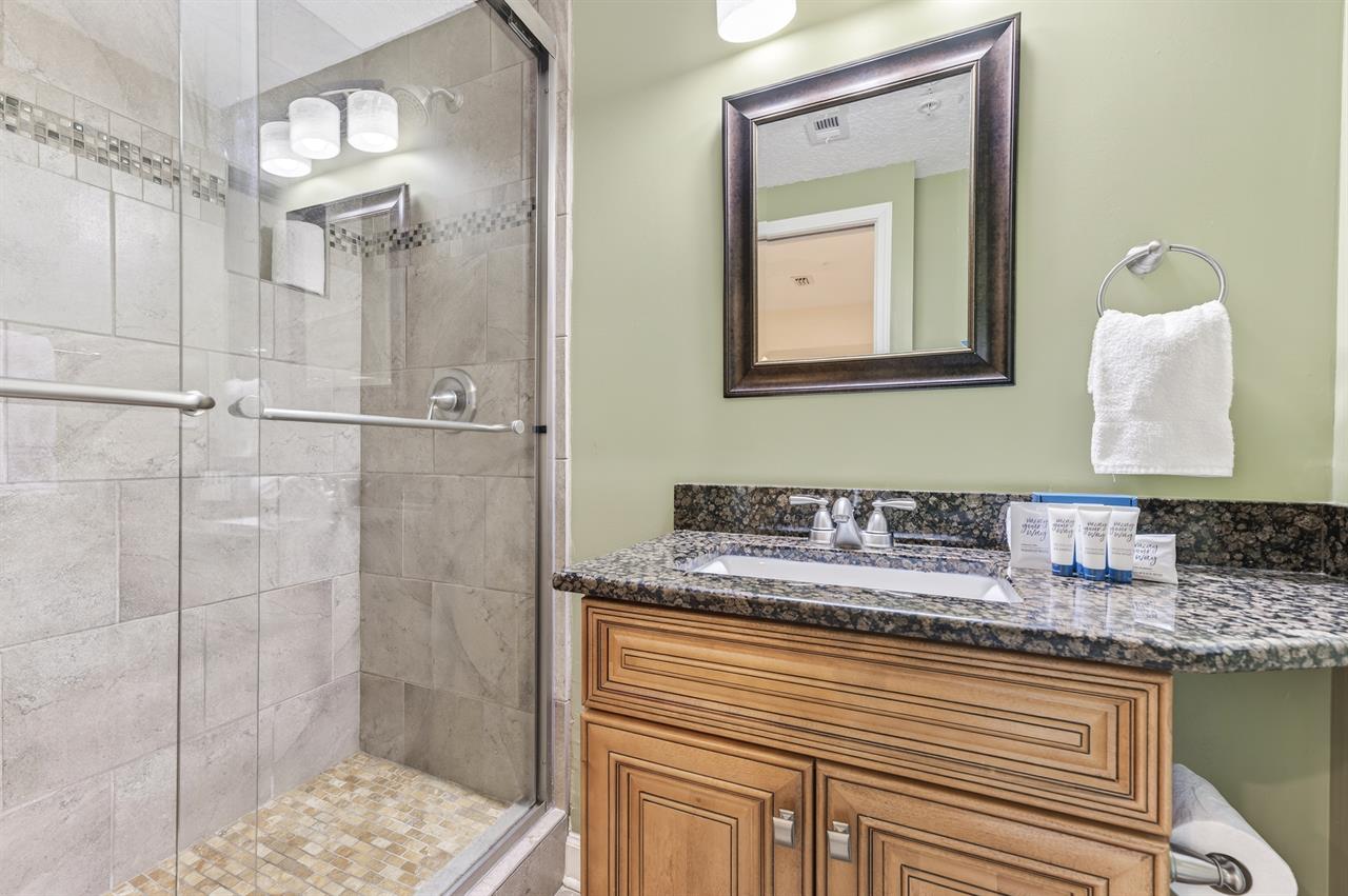 Guest Bathroom 1