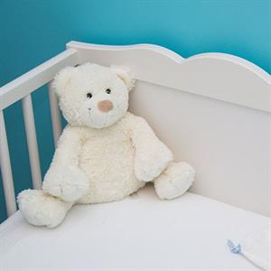 116516 Destincribrentals S