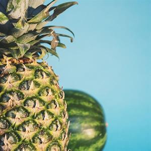 116518 Destingrocerygirls S