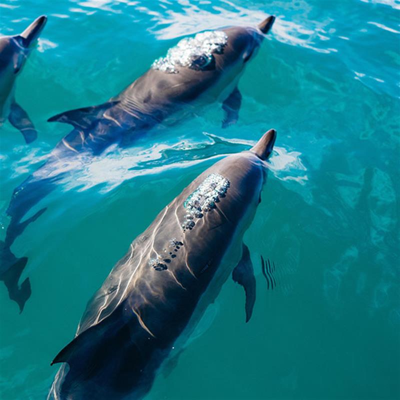 116524 Boogieswatersports M