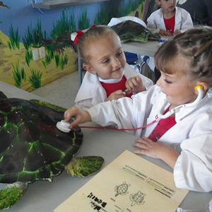 116527 Navarrebeachmarine S