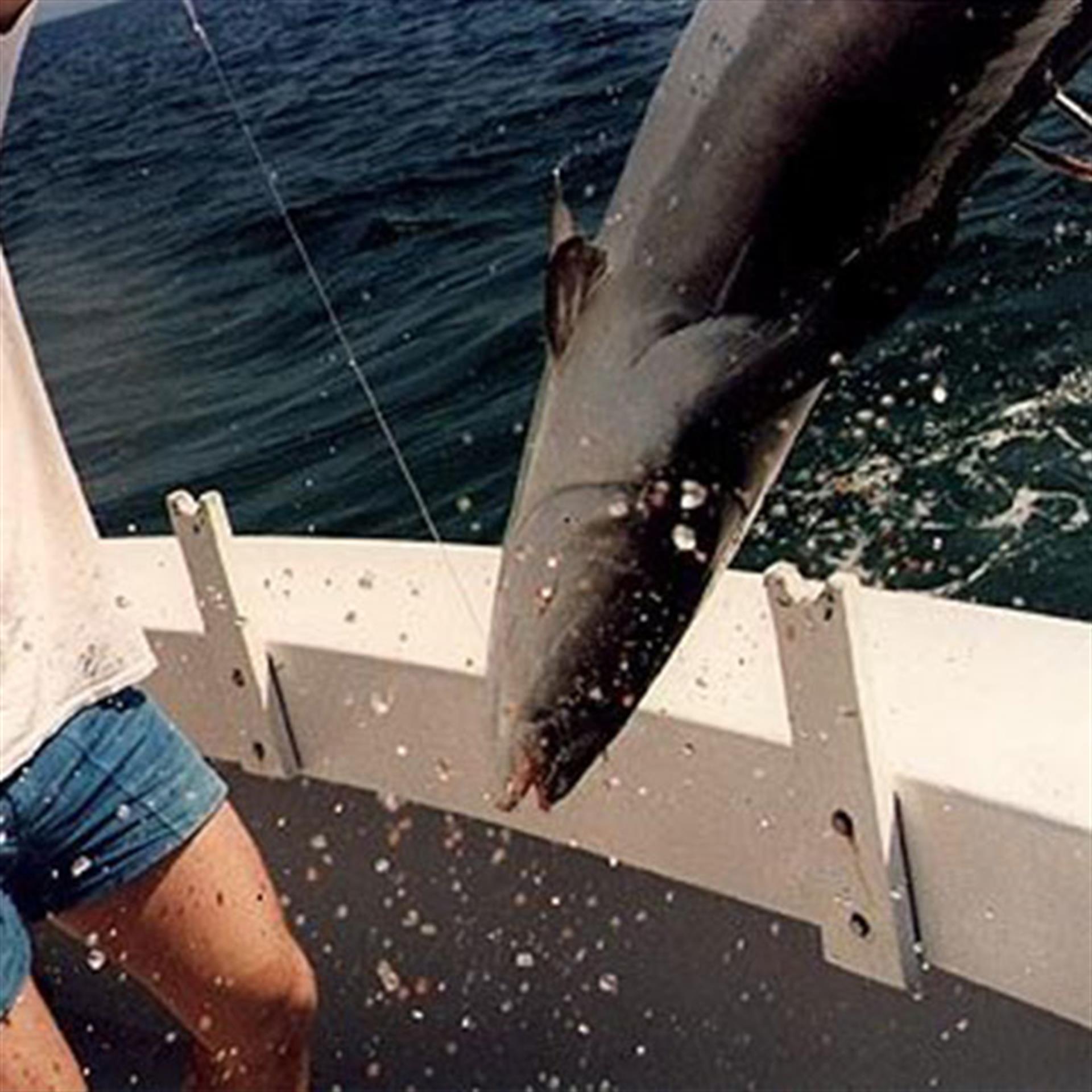 SunriseCharters SunriseCharters