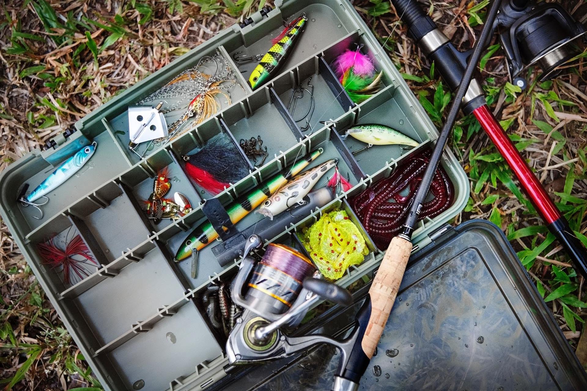 5 Things to Always Have in Your Fishing Tackle Box