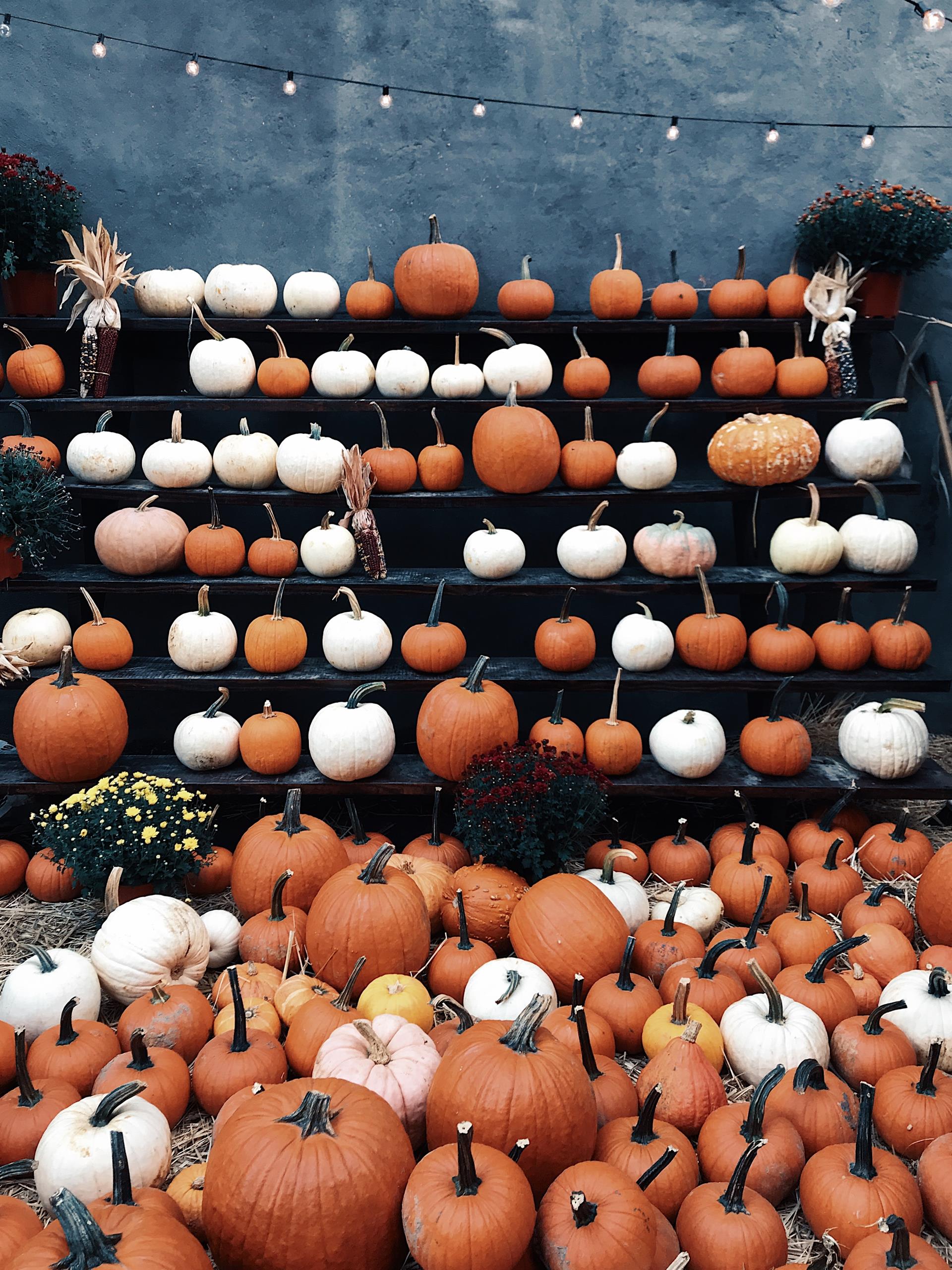 jontysonDwQVcudRcS8unsplash jontysonDwQVcudRcS8unsplash