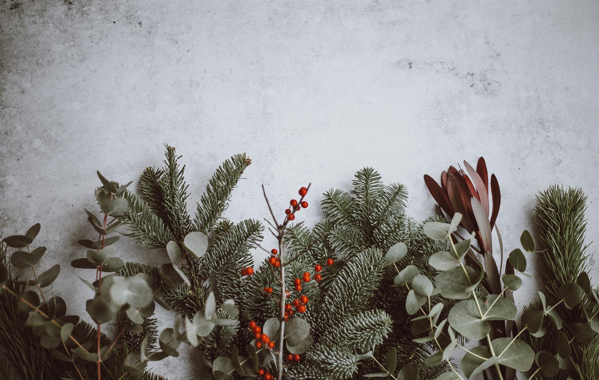 anniesprattQKoop_gR9Iunsplash