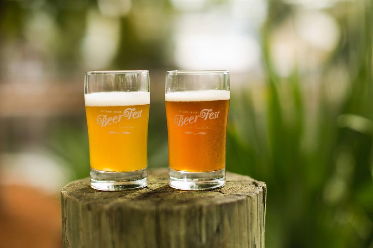 121685 22219894_1488428234567350_3969595697229824620_o B