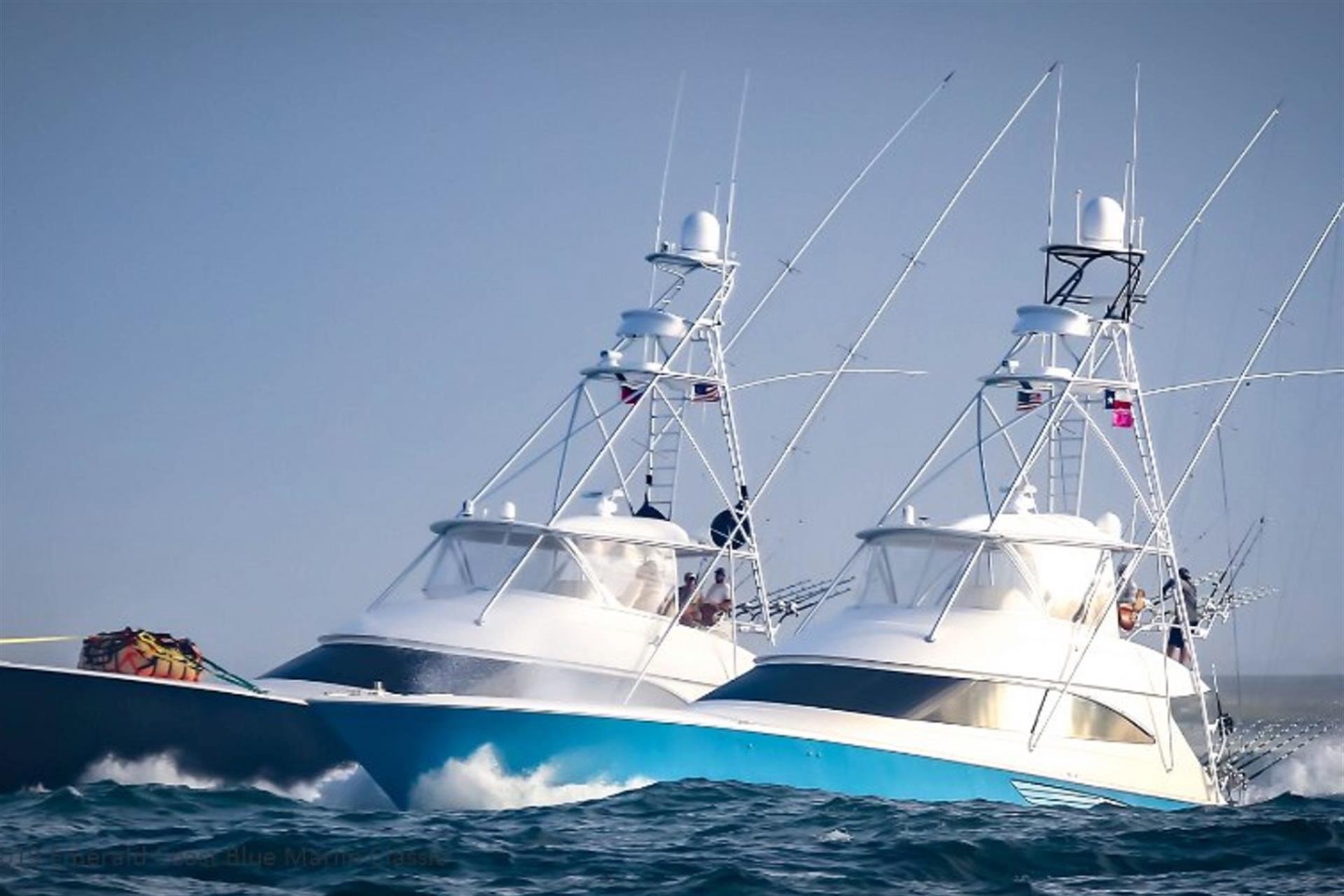 Blue Marlin