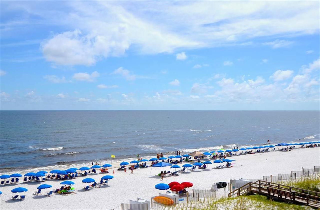 View from Balcony