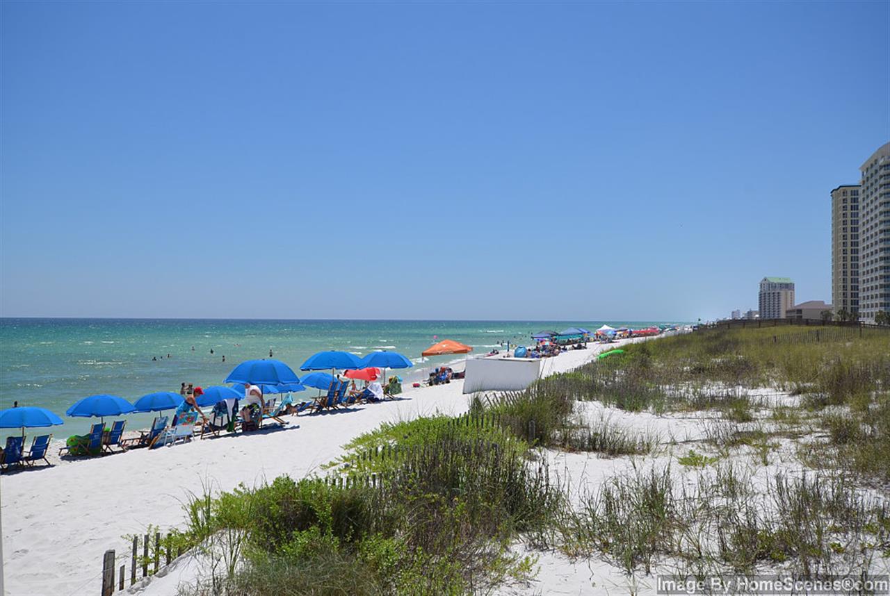 The Beach