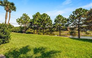 Gulf Terrace Grounds