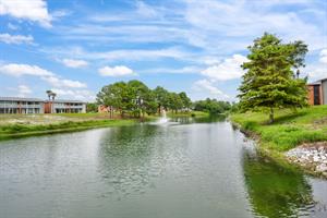 4000 Gulf Terrace Dr Unit 241Destin54