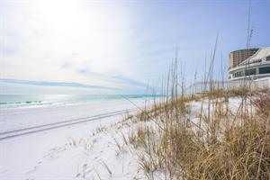 255 Open Gulf StMiramar Beach6