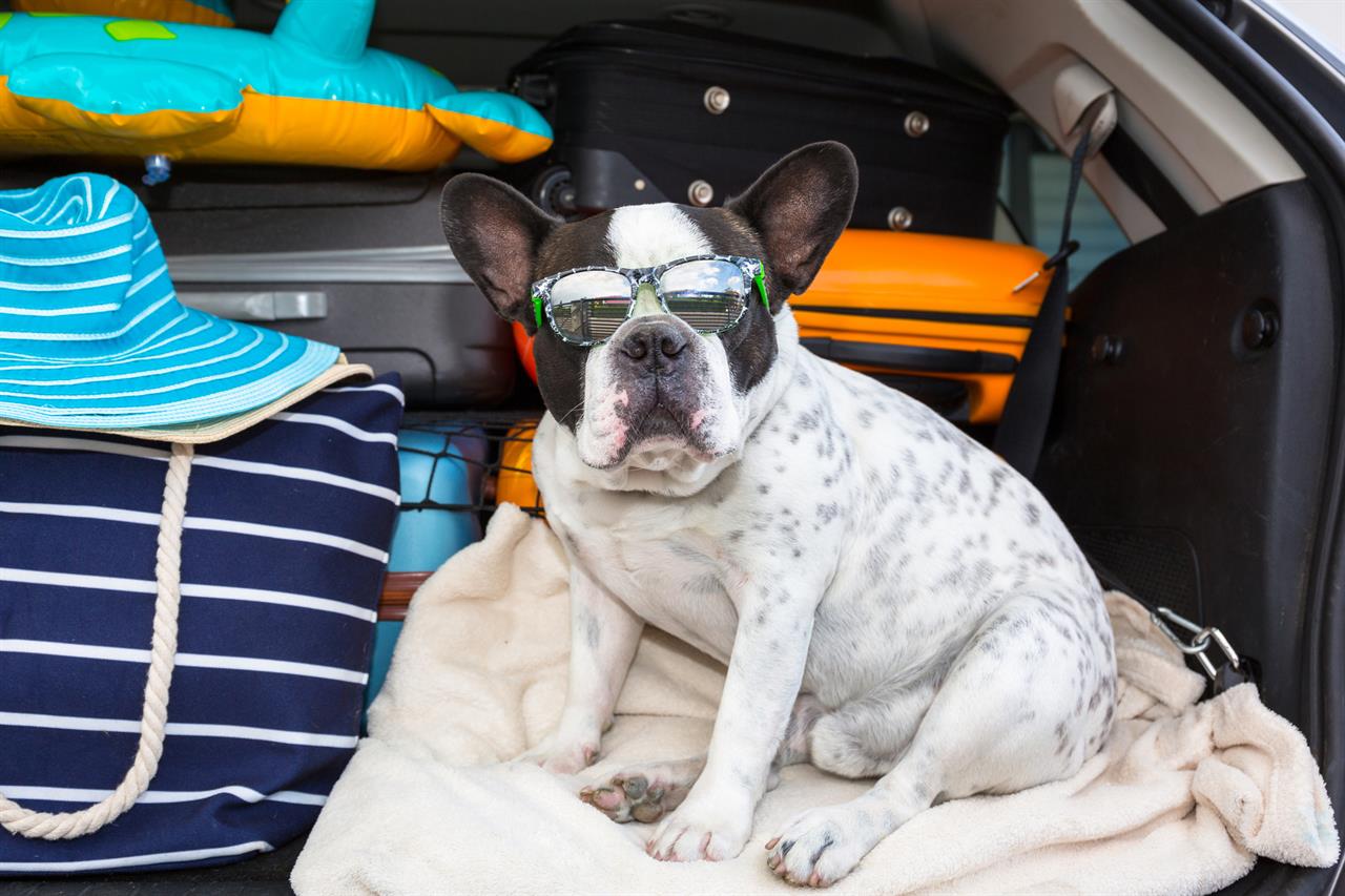 691555 Bring Your Furry Friends To Stay At Our Crystal Beach Destin Rentals B