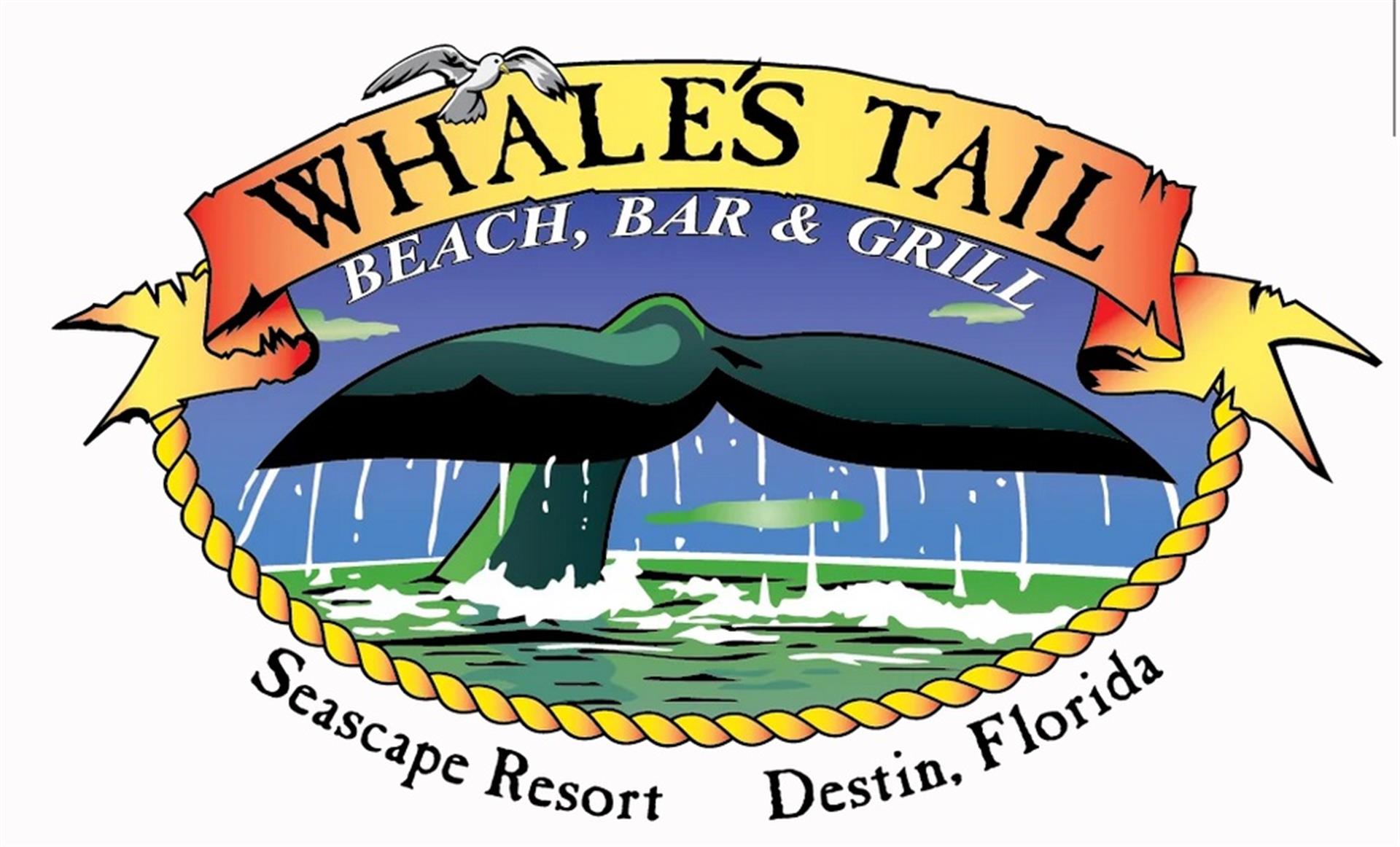 whalestail