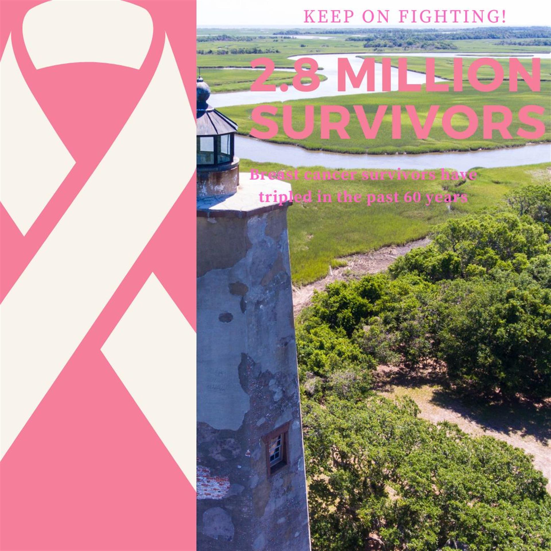 Pink  White Breast Cancer Statistics Awareness Social Media Post