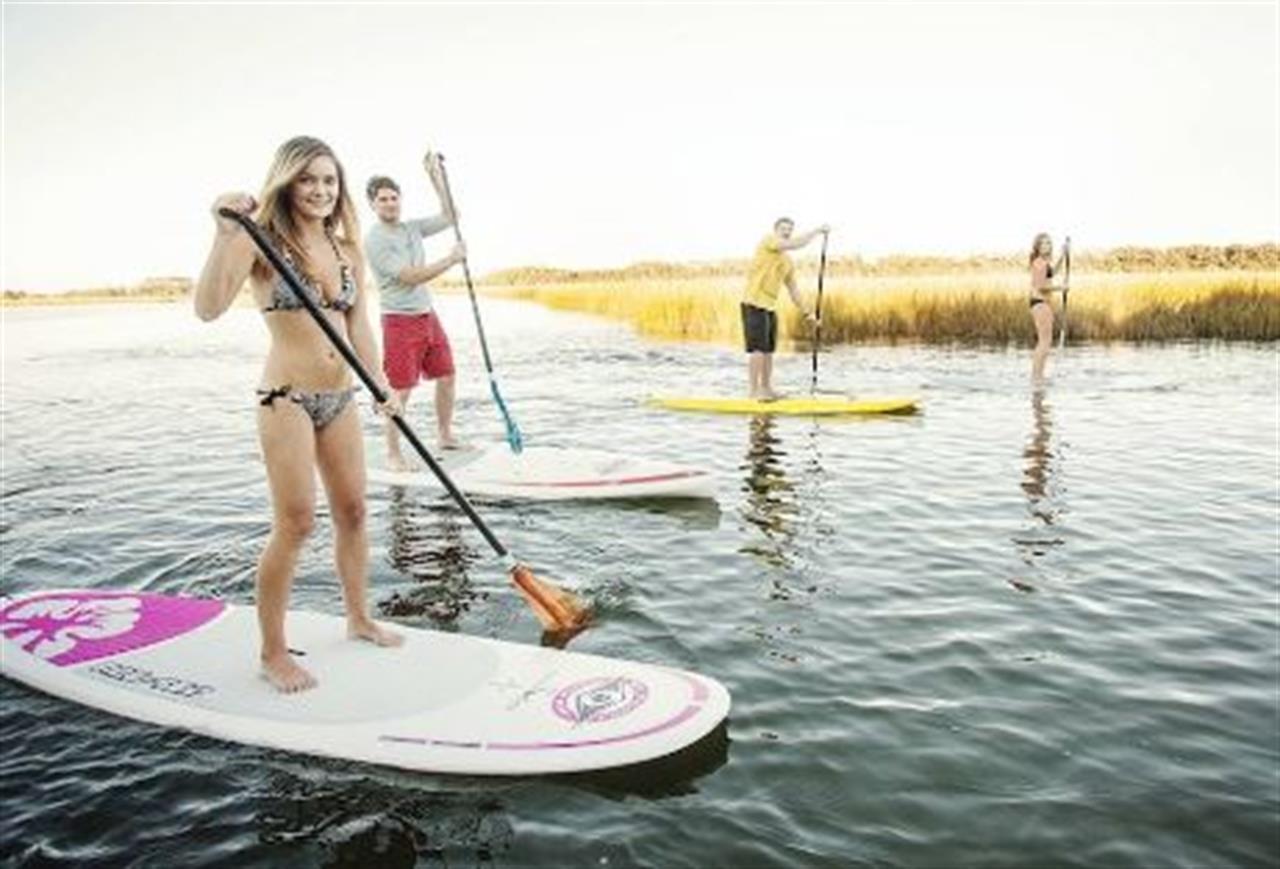 Coastal Urge Paddleboard