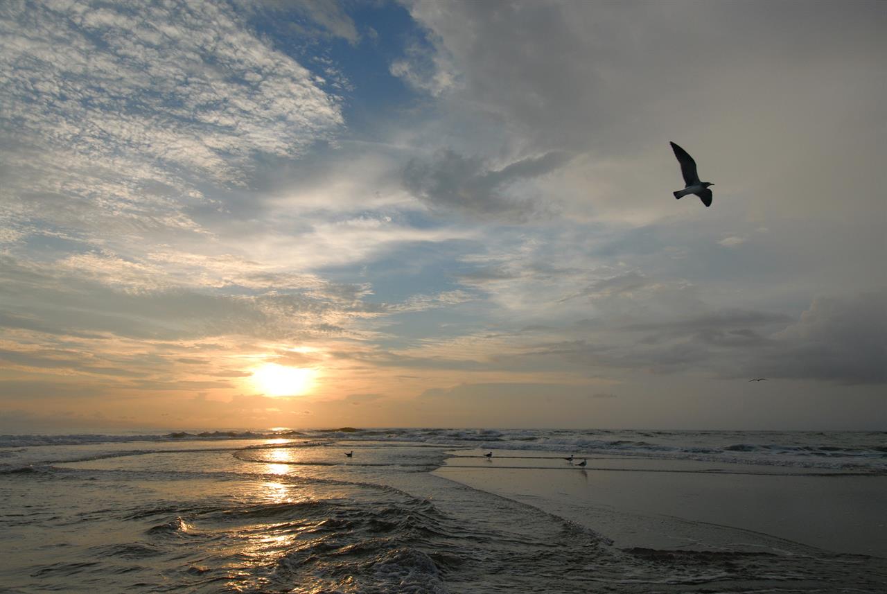 119847 Oceansunset B