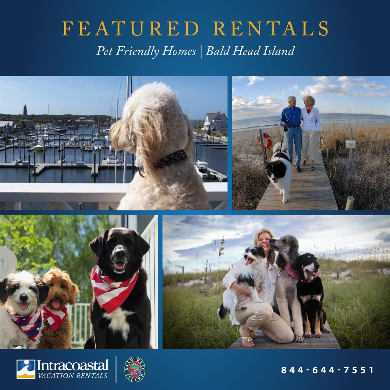 119902 Vacation Friendly Homes B