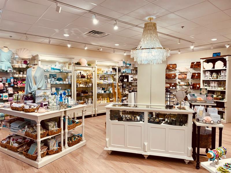 120226 002bluesailweb M