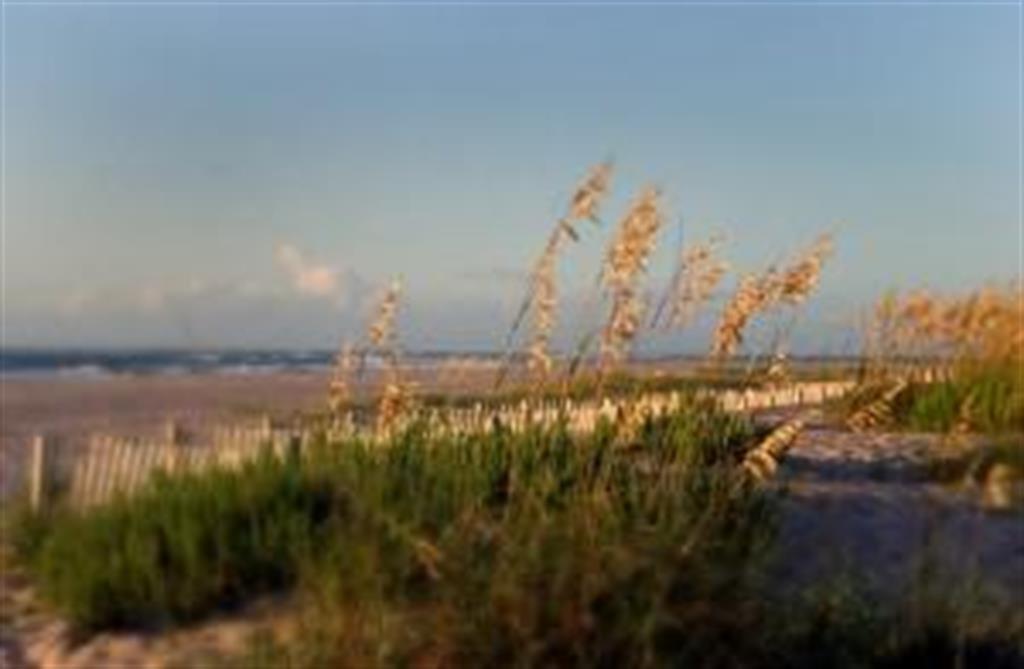 Bald Head Island Beach