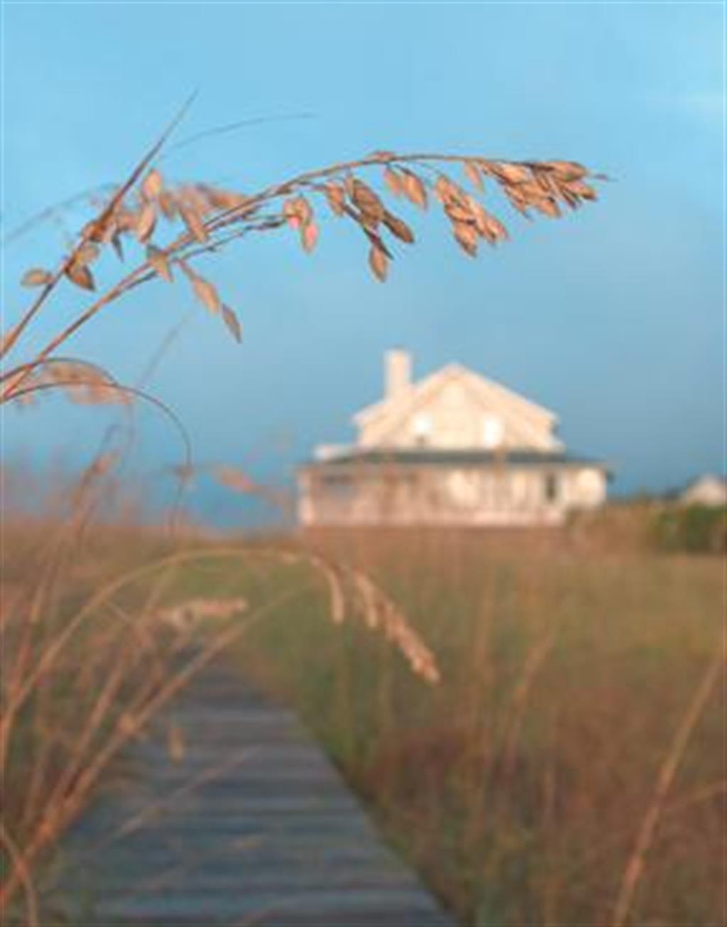 Grass Over House