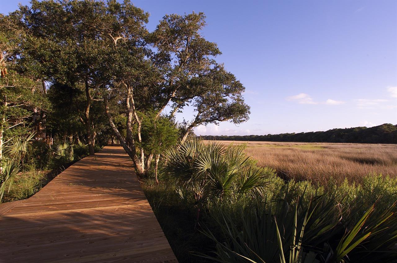 Bald Head Island Landscape