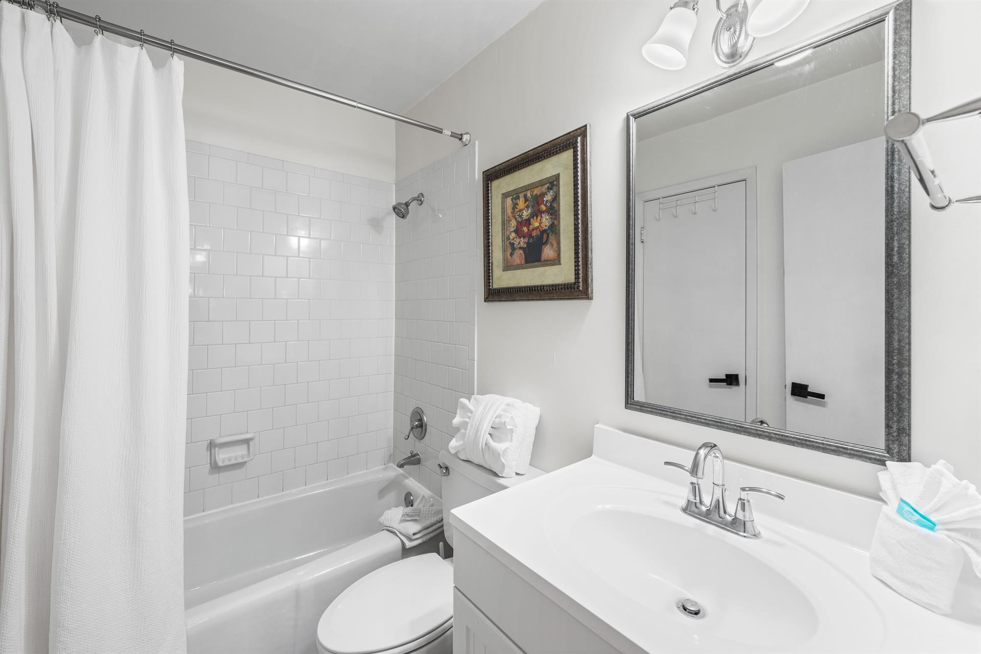 Guest Bathroom with Combo TubShower