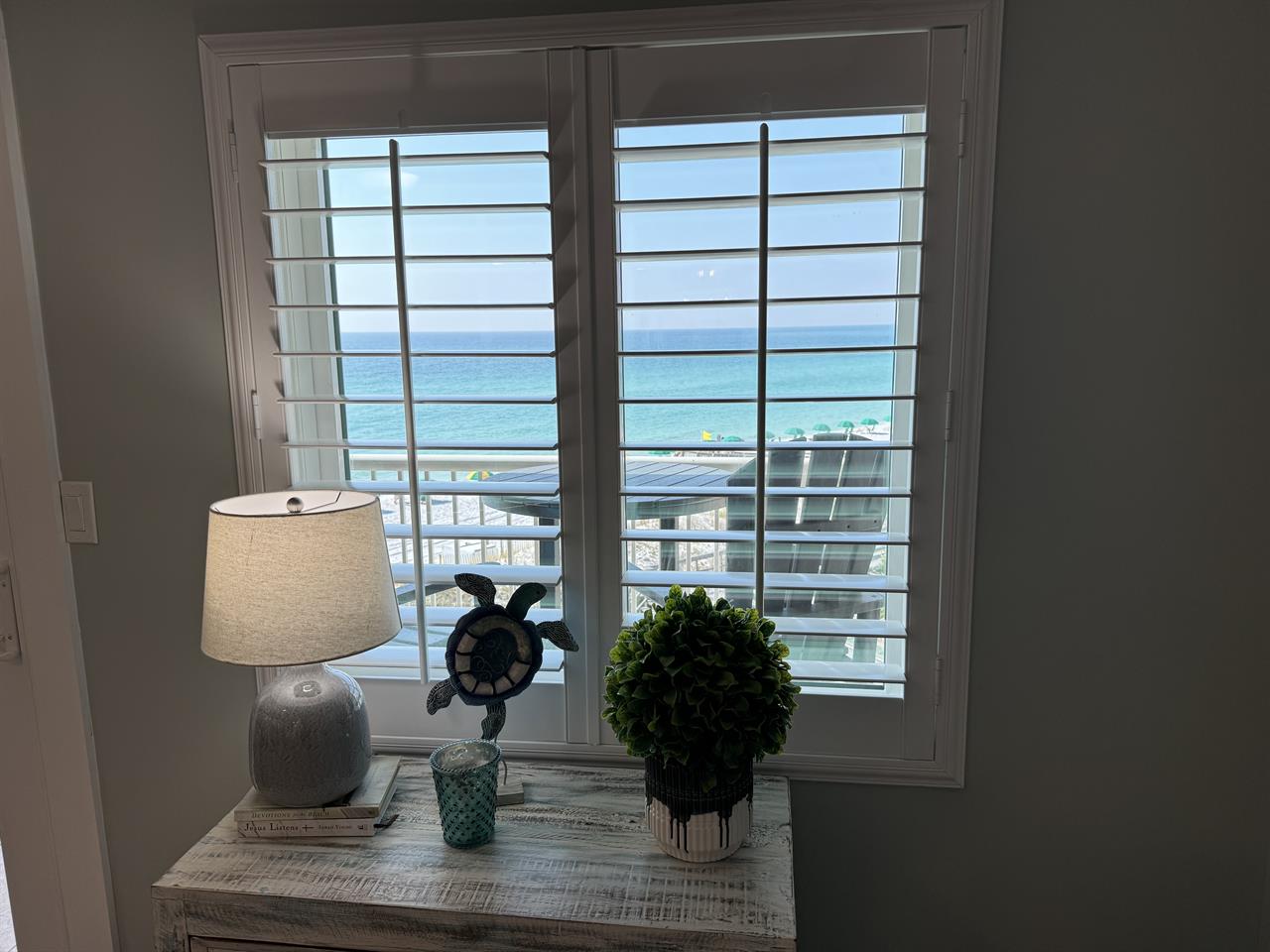 View from Living Room