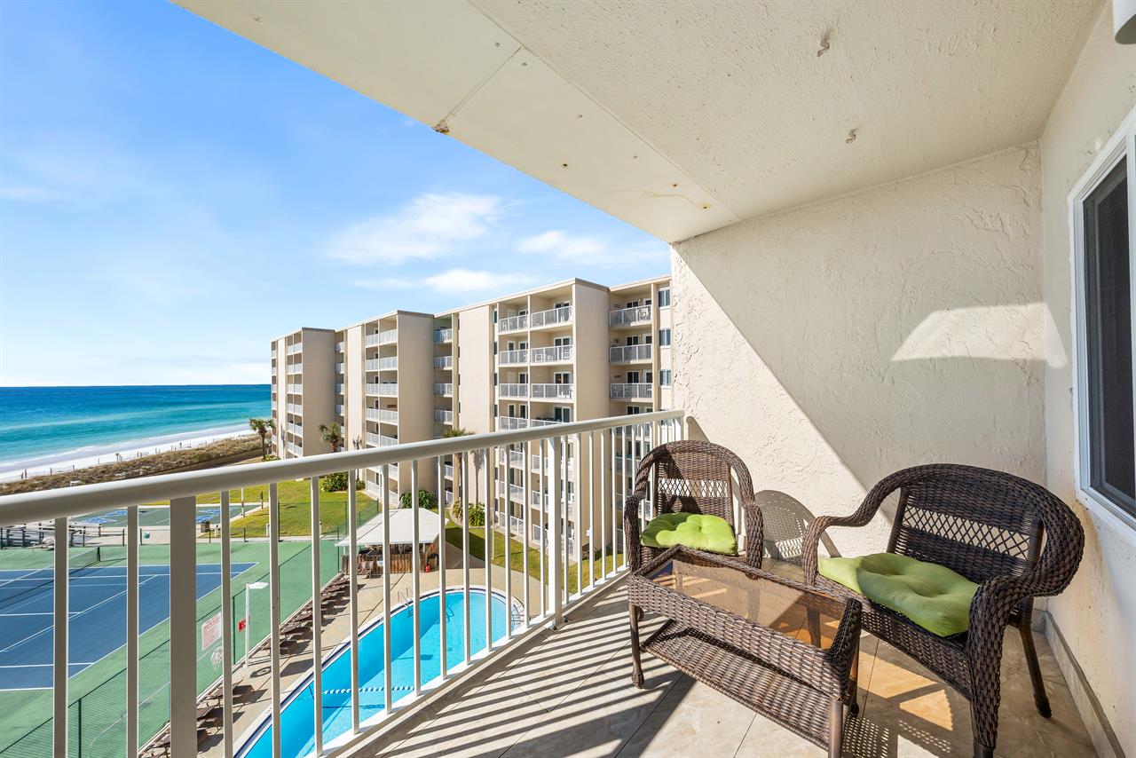 Watch the Dolphins Play