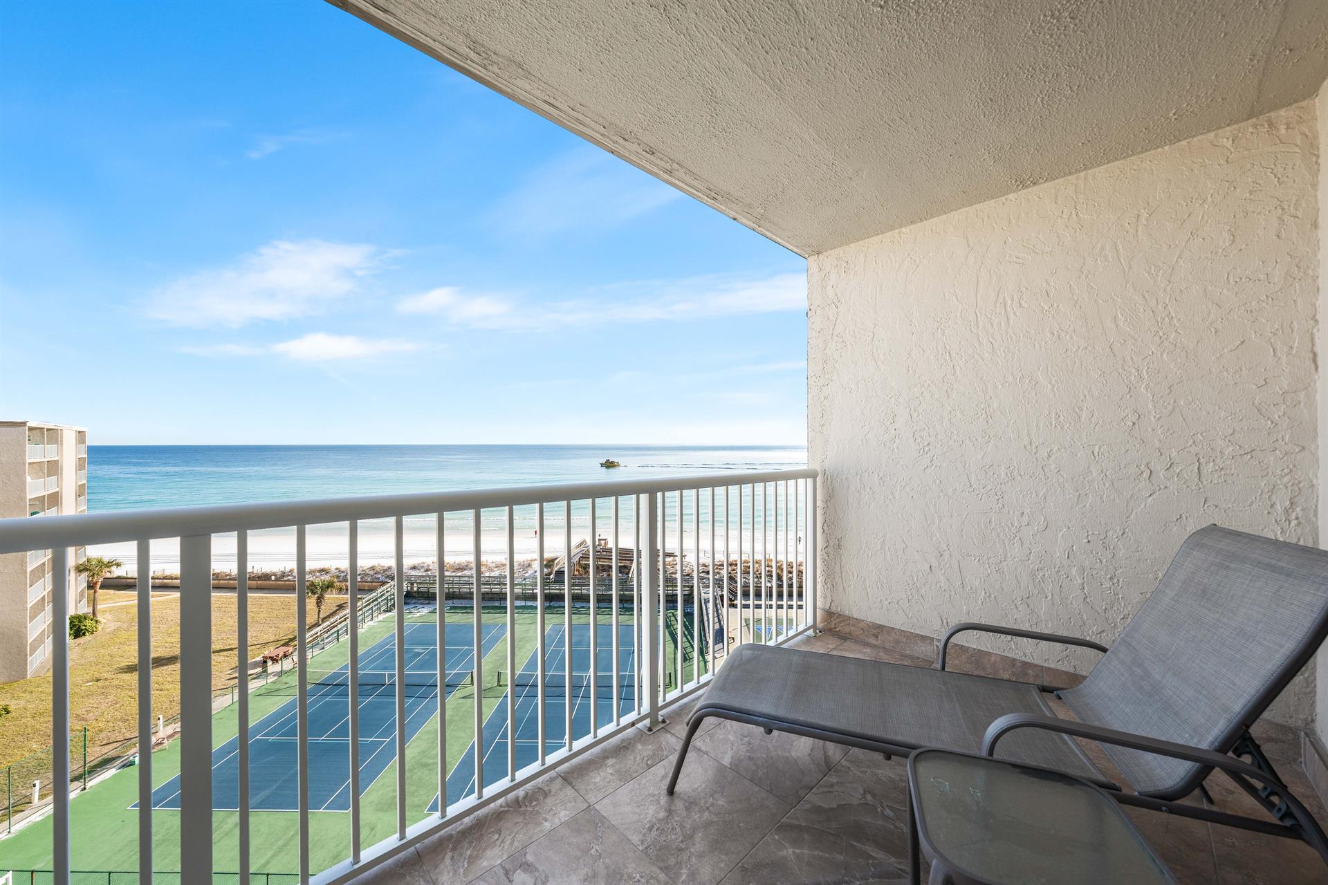 Watch the Dolphins Play